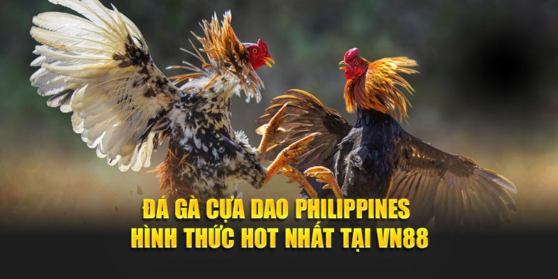 Đá Gà Cựa Dao Philippines - Hình Thức Hot Nhất Tại VN88