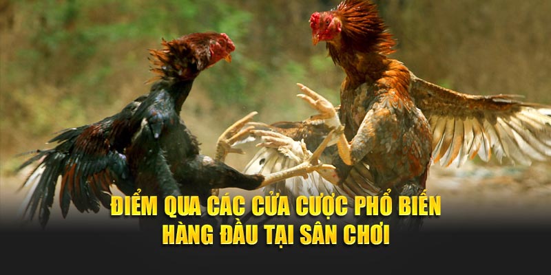 Điểm qua các cửa cược phổ biến hàng đầu tại sân chơi