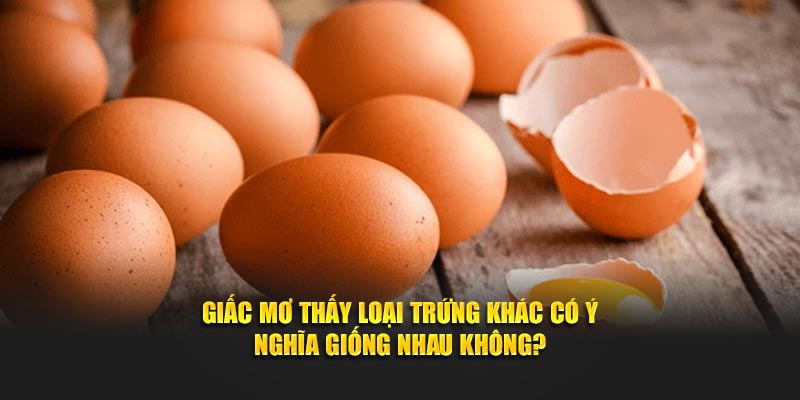 Giấc mơ thấy loại trứng khác có ý nghĩa giống nhau không?