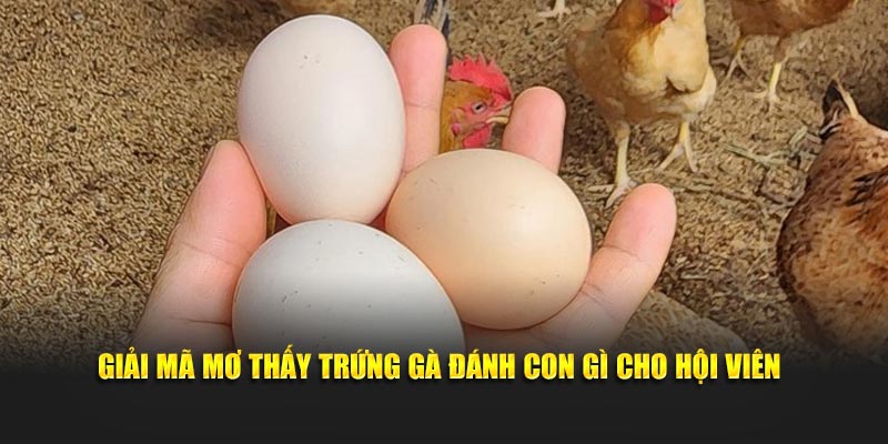 Giải mã mơ thấy trứng gà đánh con gì cho hội viên