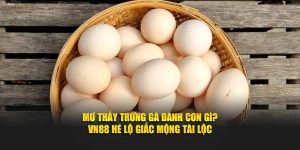 Mơ Thấy Trứng Gà Đánh Con Gì? VN88 Hé Lộ Giấc Mộng Tài Lộc