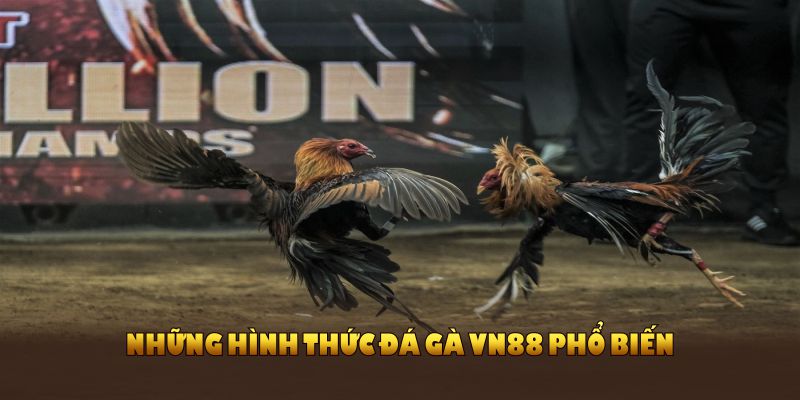 Những hình thức đá gà VN88 phổ biến không thể bỏ qua