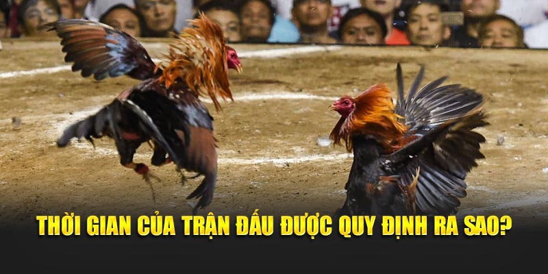 Thời gian của trận đấu được quy định ra sao?