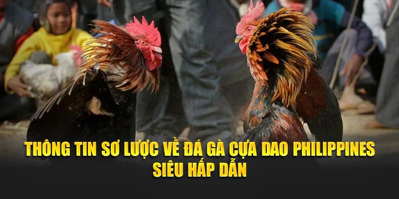 Thông tin sơ lược về đá gà cựa dao Philippines siêu hấp dẫn