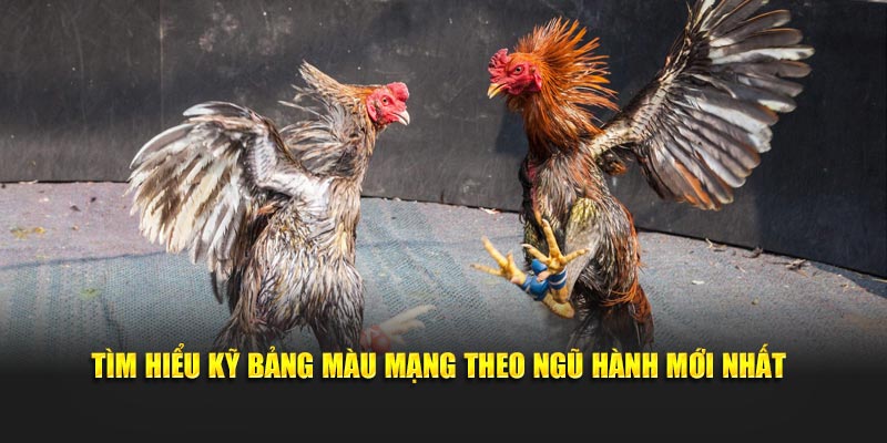 Tìm hiểu kỹ bảng màu mạng theo ngũ hành mới nhất