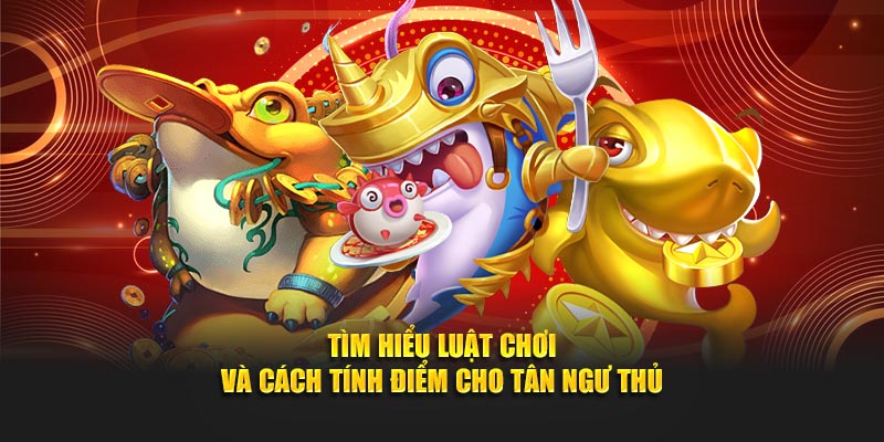 Tìm hiểu luật chơi và cách tính điểm cho tân ngư thủ