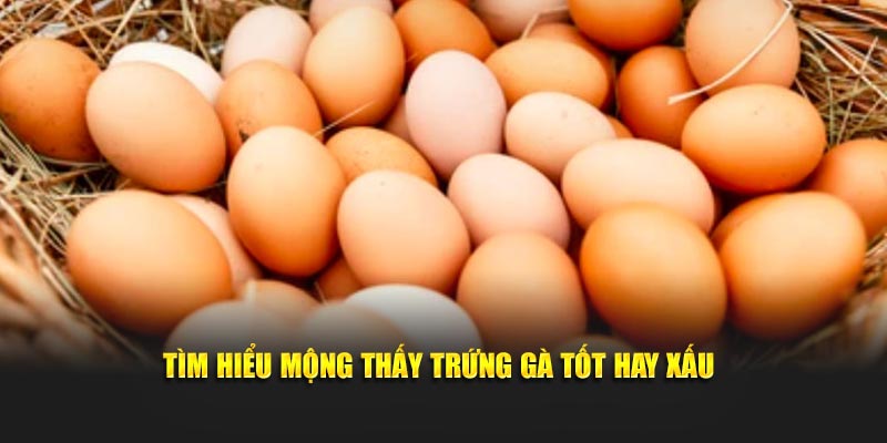 Tìm hiểu mộng thấy trứng gà tốt hay xấu